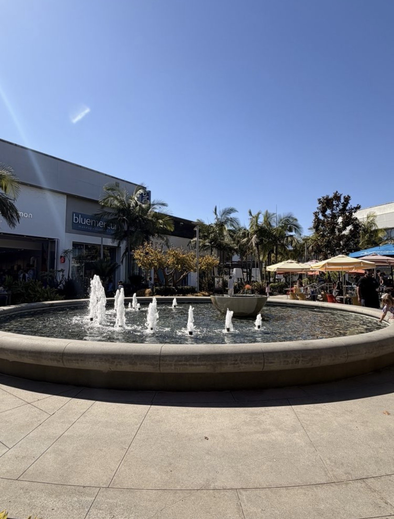Central plaza fountain manifold cleaning and pump servicing project
